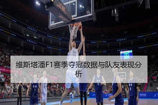 维斯塔潘F1赛季夺冠数据与队友表现分析